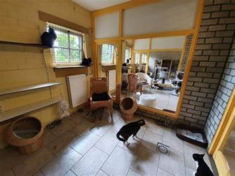 DierenpensionEilers01