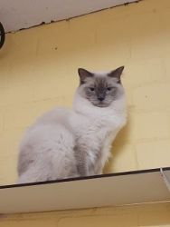 DierenpensionEilers013