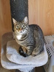 DierenpensionEilers017