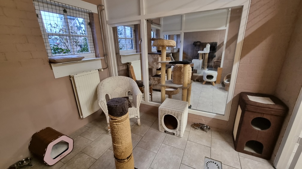 DierenpensionEilerskattenpension